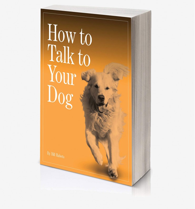 Your Talking Dog